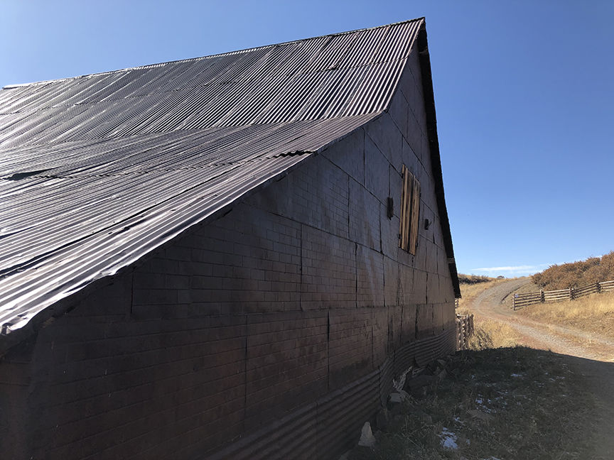 True Grit Ranch 3